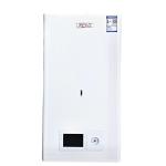 Natural Gas Hot Water Heater Wall Hung LPG Instant Water Heater Tankless