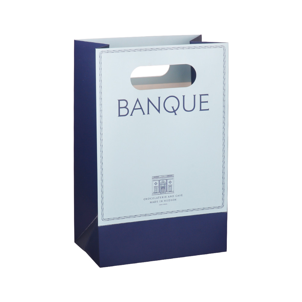 Nylon Rope Custom Logo Paper Bags , Kraft Paper Carrier Bags 20x30x12cm