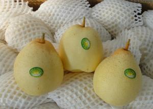 China Delicious Oriental Pear wholesale