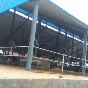 China Industrial Prefabricated Steel Shed Construction Prefabricated Steel Farm Shed Customized wholesale