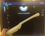 Toshiba PVT-661VT Endovaginal Ultrasound Scanner Probe Medical Imaging Device