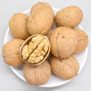 China Walnut Xin 2 wholesale