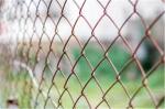 6ft Galvanized Chain Link Fence
