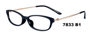 China Young Generation Optical Plastic Metal Eyeglasses Frames Food Contact Material wholesale