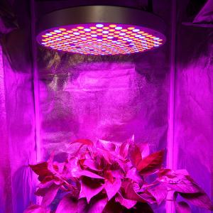 China SMD2835 Red Blue 289 Leds Dimmable Plant Growing Lamp wholesale