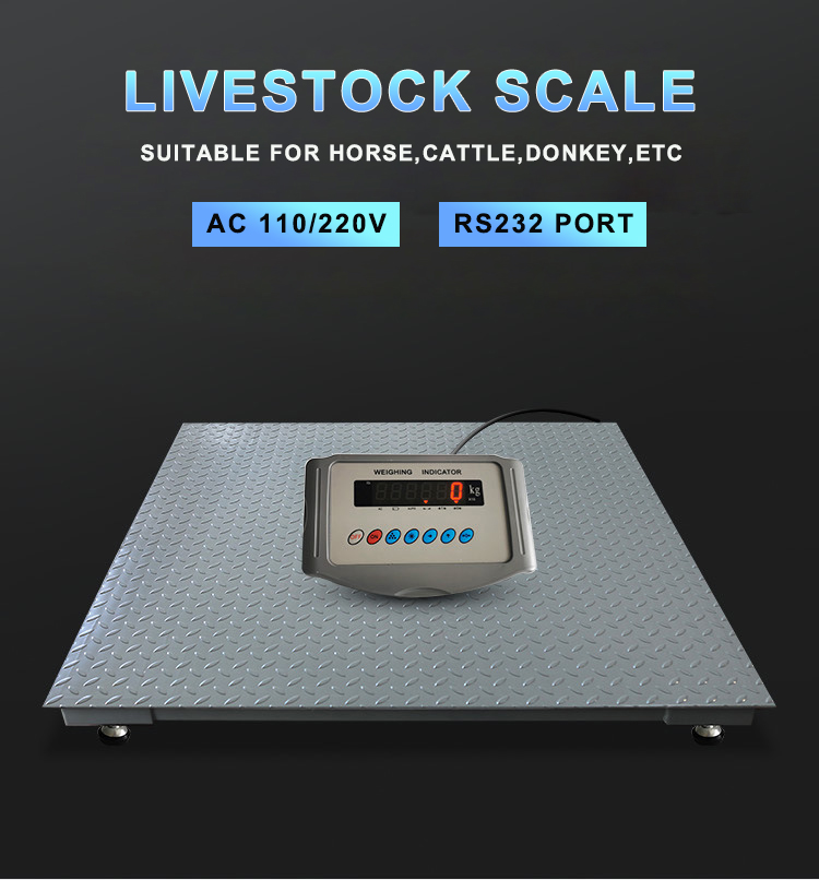High Precision 500g Floor Scale for Industrial Animal Weighing in Livestock Industry