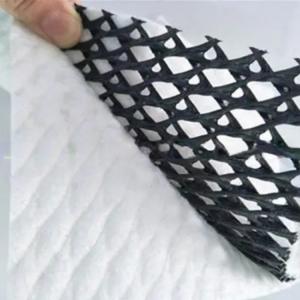 China density Polyethylene Plastic Composite Geonet The Ultimate Road Drainage Solution wholesale