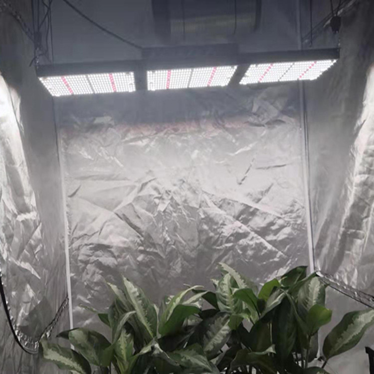 Cannabis Quantum Board Indoor LED Grow Light Panel With CE RoHS FCC Certification
