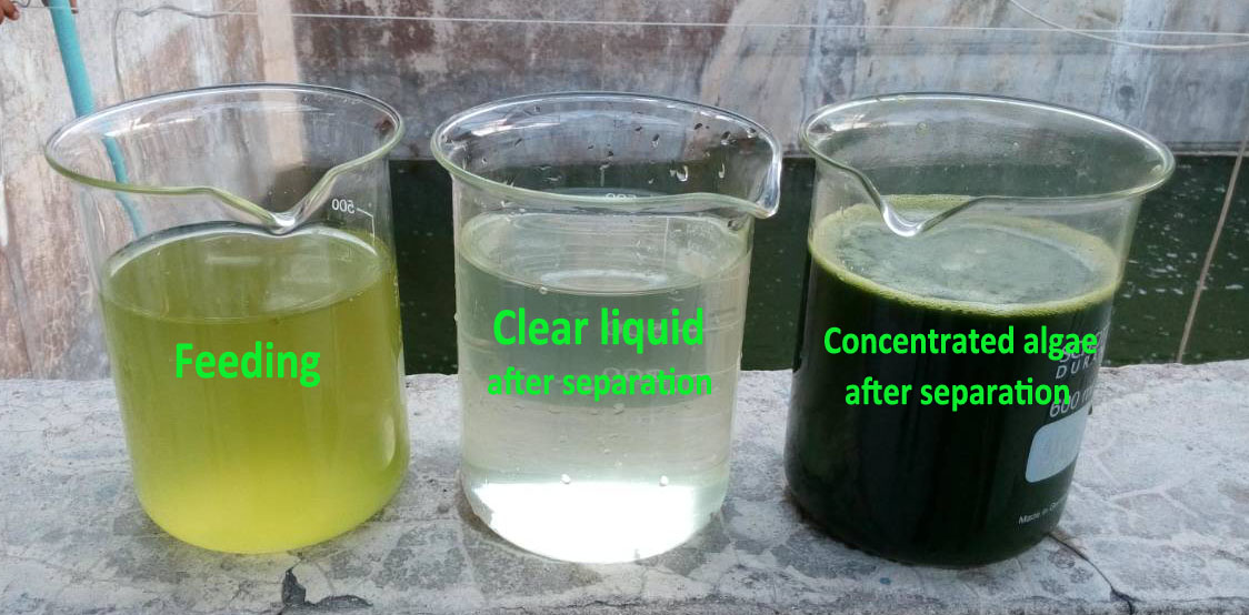 Industrial Basket Continuous Yeast Disc Centrifuge Separator For Seaweed Spirulina Chlorella