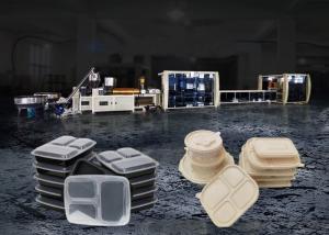 China Takeaway Fast Food Box Machine Forming Containers wholesale