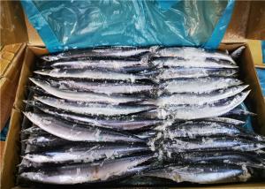 China 3% Moisture Saury Fish 90g 100g Fresh Frozen Seafood wholesale