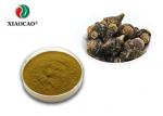 Increases Energy Black Maca Extract / Black Maca Root Powder Pharmaceutical