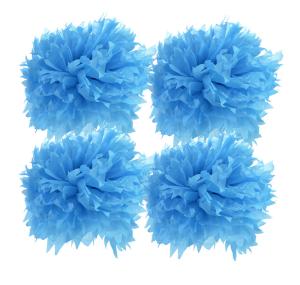 China 12 Pom Pom Tissue Flower Balls (2 Round, 2 Straight) wholesale