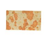 Zero Expansion Silica Brick With and CaO Content ≤3% For Industrial Furnace Hot