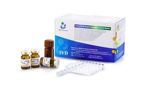 China LDH X Kit For Determination LDH-X Level Semen wholesale