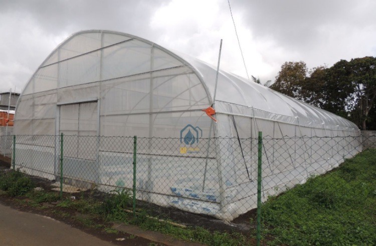 Hot Dip Galvanized Pipe High Tunnel Greenhouse Customizable Agriculture Greenhouse