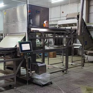 China Accurate Optical Sweet Potato Dice Sorting Machine wholesale