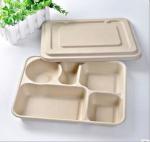 Biodegradable Straw pulp 5 compartments food container paper food trays