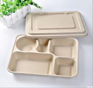 China Biodegradable Straw pulp 5 compartments food container paper food trays wholesale