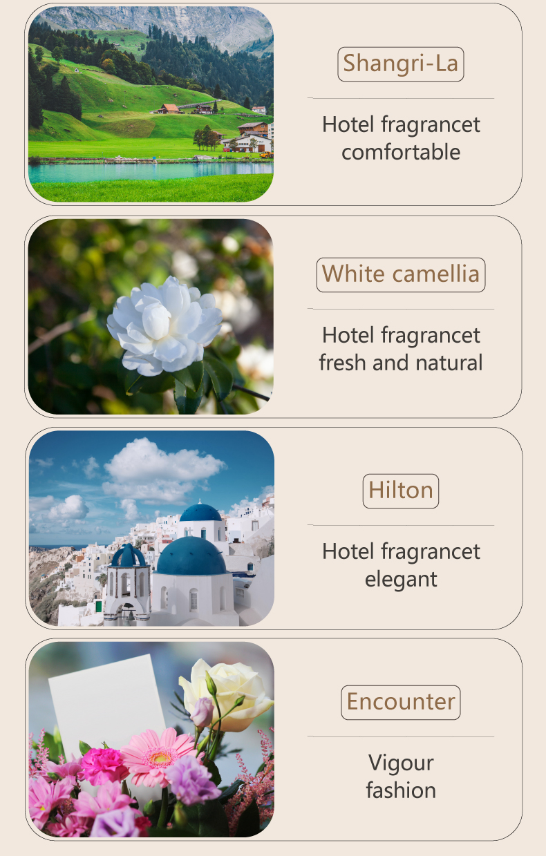 HOMEFISH Aroma Scent Essential Oil Diffusers Intelligent Fragrance Machine 40ml OEM ODM