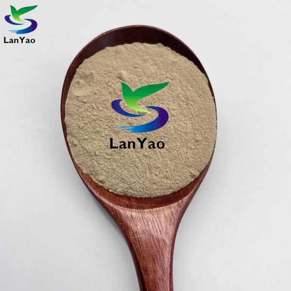 Professional Manufacturer High Quality Degreasing Bacteria For Rapid Degradation