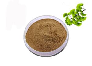China CAS 90045-36-6 Organic Dry Leaves Ginkgo Biloba Extract Powder wholesale