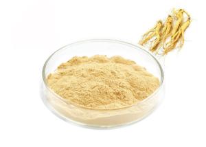 China Food Grade Panaxoside Ginseng Extract Powder For Health Products wholesale