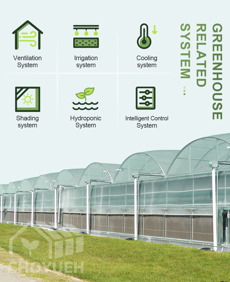 Double Layer PE Film Multi Span Film Greenhouse With Hydroponic System