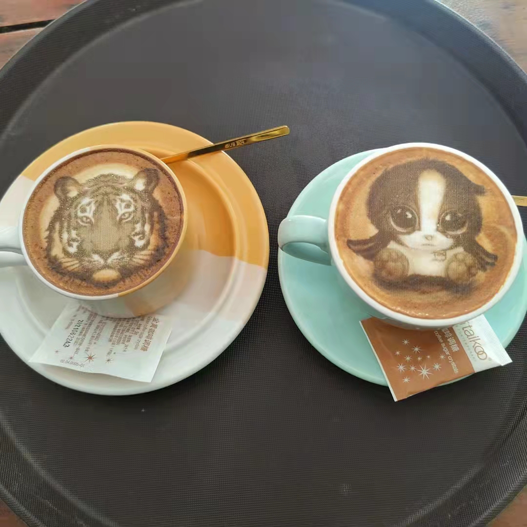 MACAS Single Color Cake Coffee Art Printing Machine 15W