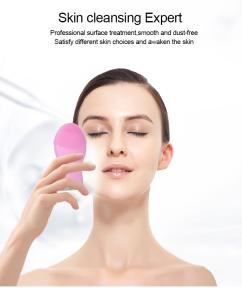 China Portable Mini Electric Silicone Facial Cleanser Waterproof Ipx7 wholesale