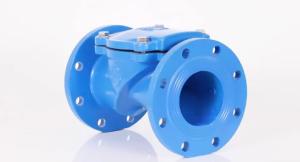 China Dn50 - Dn600 Industrial Control Valves , Odm Ss Check Valve wholesale