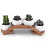 Indoor Plant Display Stand , 4 Tier Bamboo Wooden Flower Pot Holder