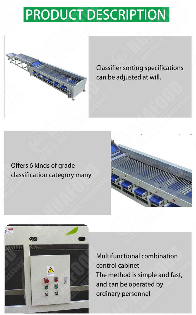 1100mm Automatic Food Processing Machines 3 t/h For Cucumber Carrot
