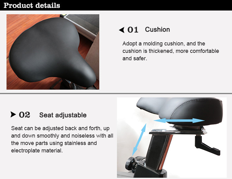Indoor Stationary Exercise Bicycle , Upright Motorized Magnetic Exercise Bike