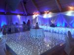 Hot sale led wedding/party starlit dance floor