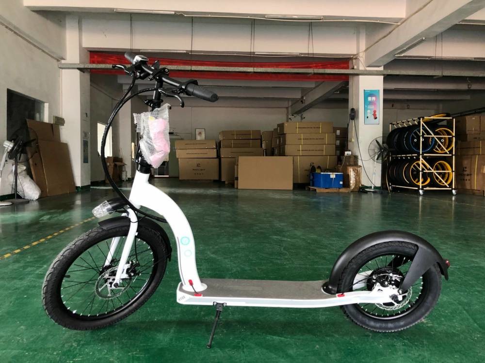 36v 10Ah 2 Passenger Electric Scooter Cycle Lightweight Electric Mobility Scooter
