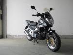 CCC Young 135 4 Stroke 5500 RPM Cub Sport Motorcycle