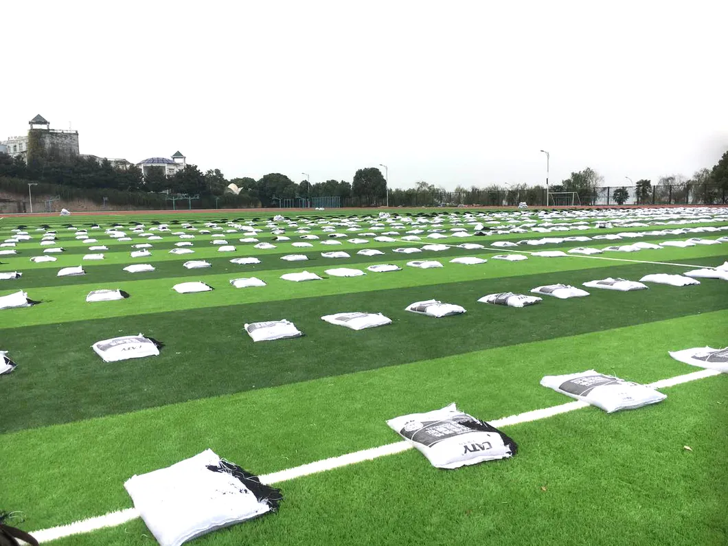 Free Sample Shoe Material Recycled SBR Rubber Granules for Artificial Turf Infills Football Lawn