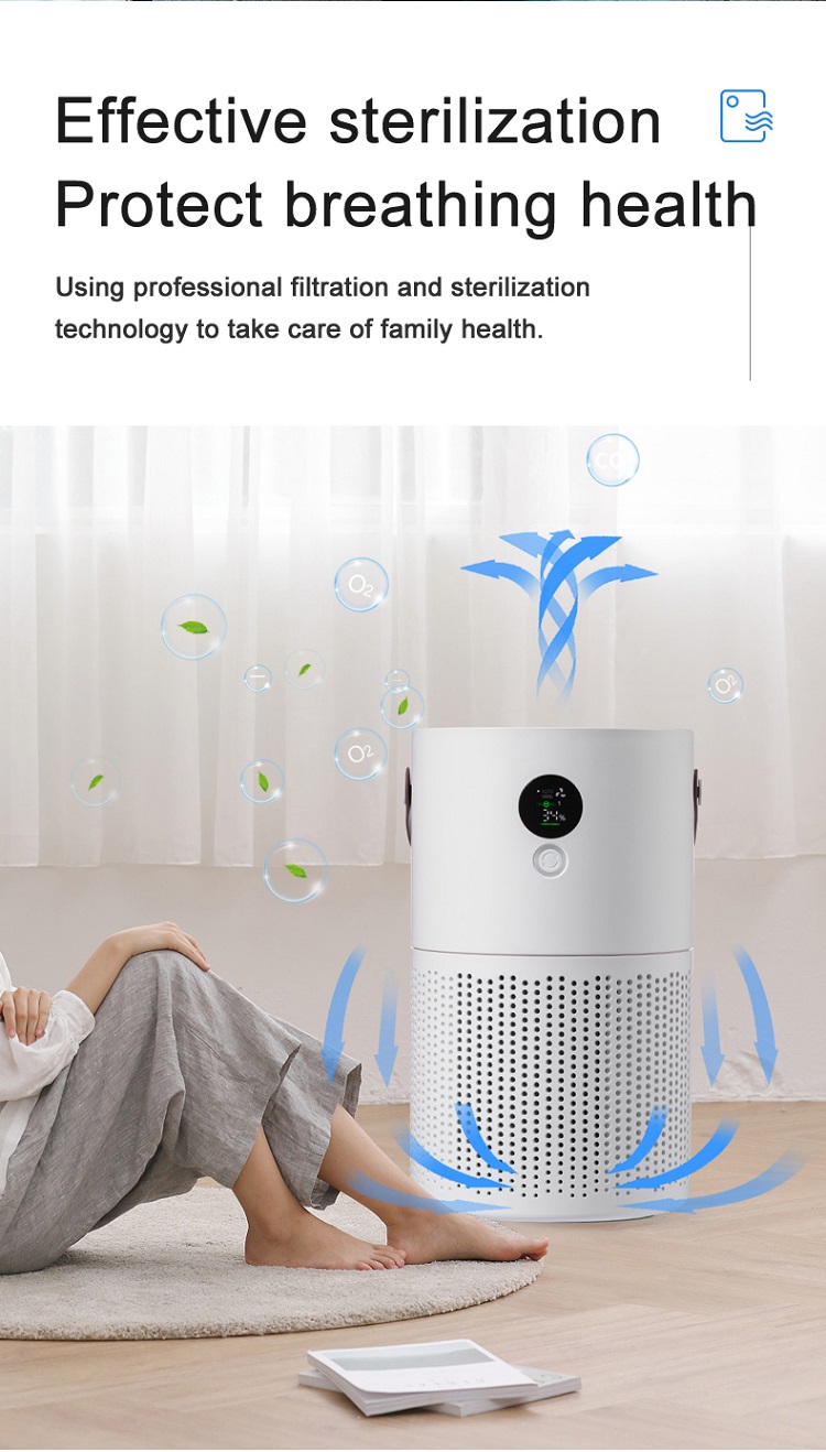 HOMEFISH Smoke Pm2.5 Negative Ion Desktop Cleaner Air Purifier