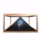 Museums 42 Inch Holographic Projection Device , Full HD Holographic Projection