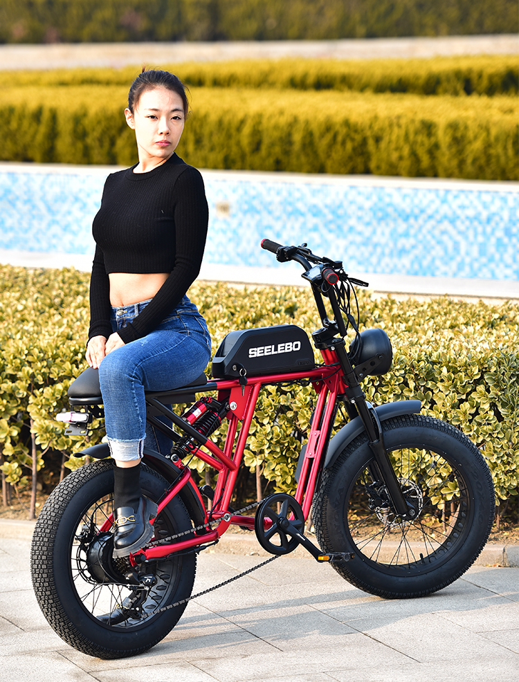 Electric Bicycle GOMID 750W 48V 20 Inch E Bike Mountain Fat Tire Ebike With High Power Motor