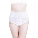 Comfortable Lady Girl Sanitary Napkin Super Disposable Menstrual Panties for