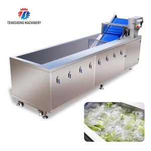 China Tengsheng Fruit And Vegetable Washing Machine Pests Eliminating Saint Dragon Fruit wholesale