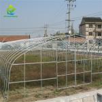 Serre Gothique 240m2 Poly Tunnel Greenhouse Economical Gothic Arch Greenhouse