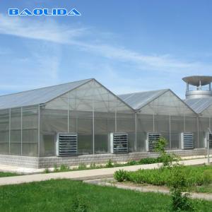 China Commercial Polycarbonate Sheet Greenhouse / PC Sheet Greenhouse Customized Material wholesale
