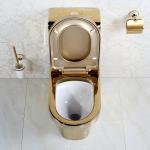 Water Saving Sanitary Gold Toilet Set Washdown Flushing 720x370x800mm