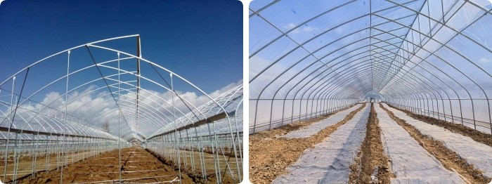 Indoor Hydroponic Tropical Area Polytunnel Sawtootch Greenhouse With Cooling Irrigation System