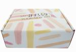 CCNB SBS Colored Packaging Boxes Folding Corrugated Mailing CTP E Flute