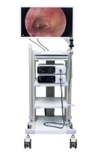 China Medical HDMI Full HD Endoscope Camera System Tower DJSXJ-IIa wholesale