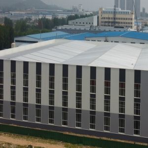 Q355B Steel Structure Warehouse with 50-Year Lifespan